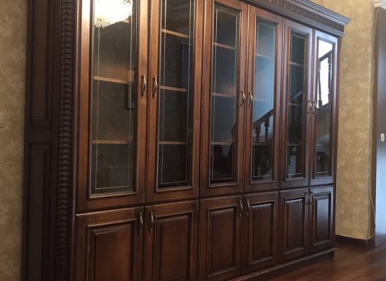 Шафа Бібліотека Українка, 6 дверей (тонування)